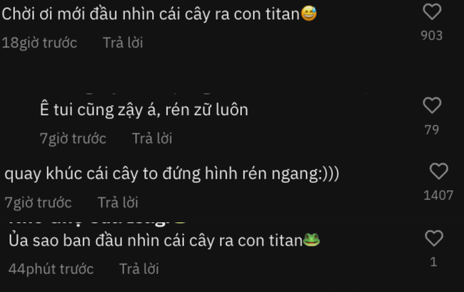 Cảnh tượng như phim viễn tưởng khi leo con đèo nổi tiếng tại Tây Nguyên, cứ tưởng đang lạc vào “xứ sở Titan” - Ảnh 5.