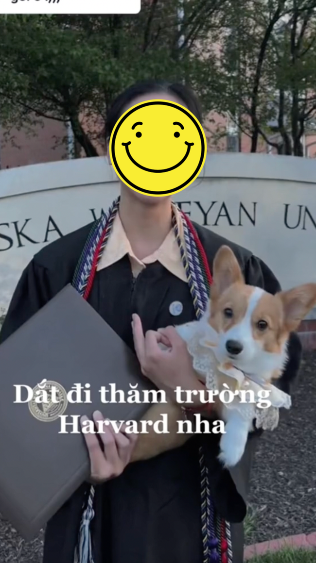 Xôn xao một nữ TikToker Việt bị tố &quot;sống ảo&quot;, thân phận sinh viên Harvard cùng suất học bổng toàn phần chỉ là &quot;cú lừa&quot; - Ảnh 4.