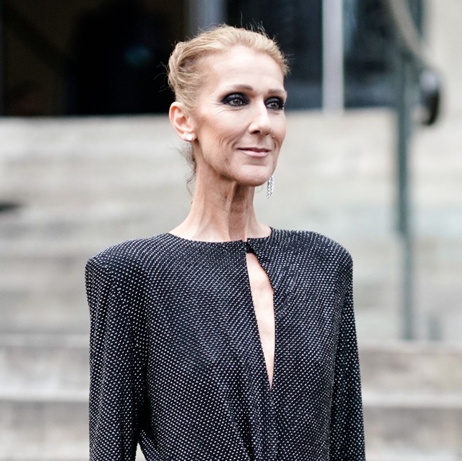 Céline Dion 55 tuổi: Đỉnh cao vinh quang & cuộc chiến với bệnh nan y - Ảnh 1.