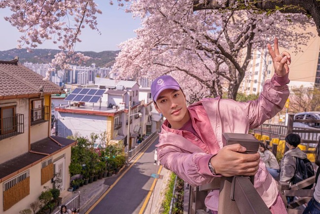 Loạt sao Việt 'săn' hoa anh đào: Phương Oanh - Shark Bình né chụp chung, Minh Hằng xinh đẹp giữa thai kì - Ảnh 4.