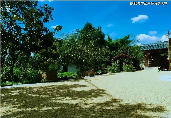 Cận cảnh ng&ocirc;i nh&agrave; l&agrave;m n&ecirc;n t&ecirc;n tuổi của L&yacute; Tử Thất: Đơn sơ bất ngờ so với thu nhập cả trăm tỷ đồng! - Ảnh 6.