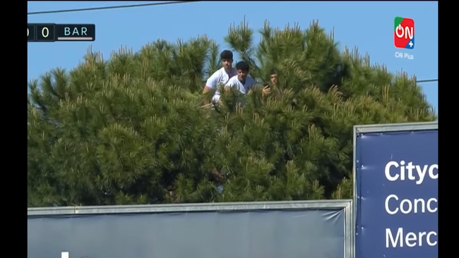 Độc lạ La Liga: CĐV ngồi vắt vẻo trên ngọn cây xem bóng đá như V League - Ảnh 3.