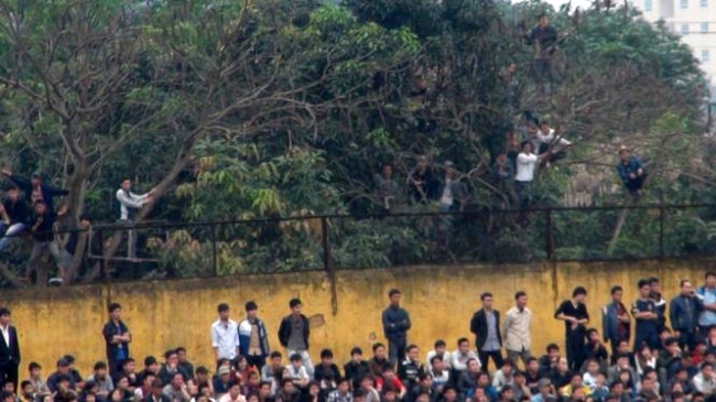 Độc lạ La Liga: CĐV ngồi vắt vẻo trên ngọn cây xem bóng đá như V League - Ảnh 4.