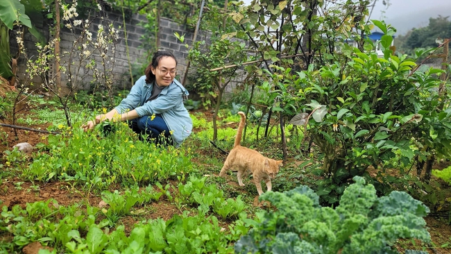 Anh kỹ sư mua 1.000m2 đất ngoại ô Hà Nội cho vợ nuôi gà, trồng rau, xây nhà sàn độc đáo có view đồng lúa xanh mướt - Ảnh 4.