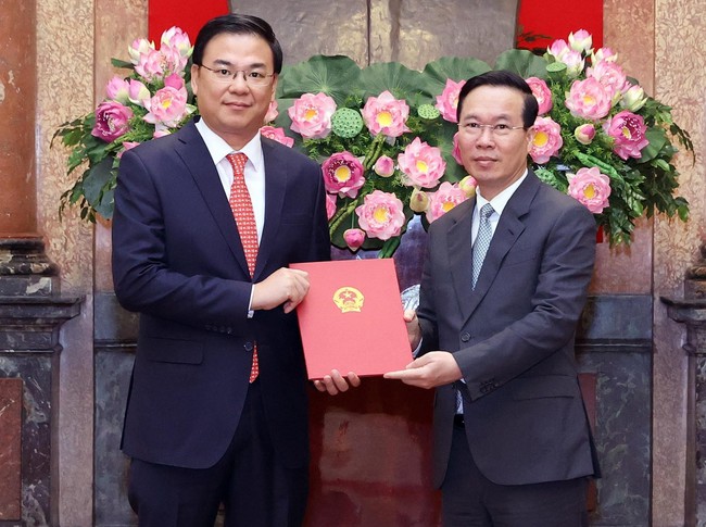 Chủ tịch nước trao quyết định bổ nhiệm Đại sứ Việt Nam tại Nhật Bản - Ảnh 1.