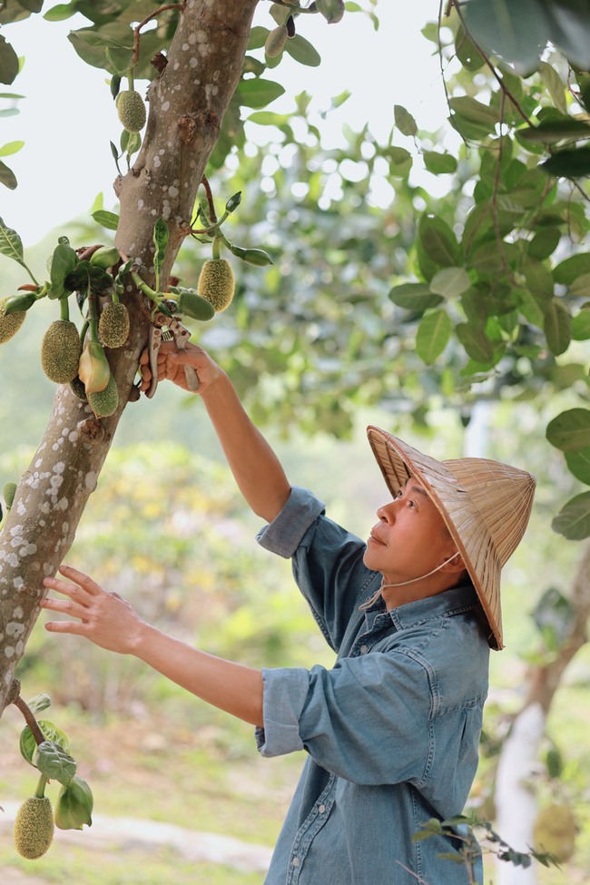 Cuộc sống giản dị đáng mơ ước của NSƯT Việt Hoàn ở nhà vườn ngoại ô - Ảnh 1.