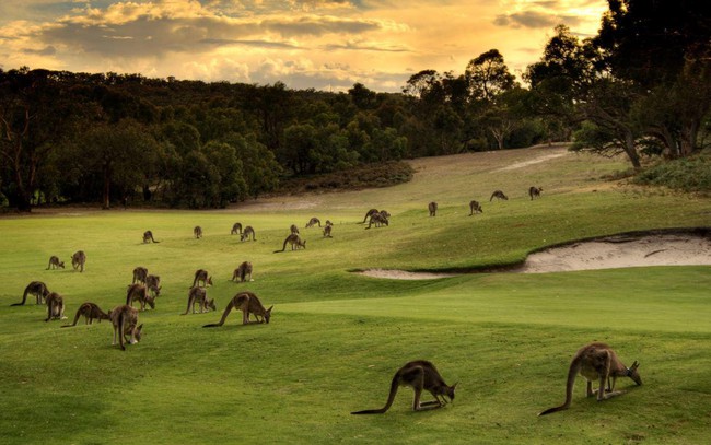 Chiêm ngưỡng những địa điểm thu hút khách du lịch tại Úc - Ảnh 3.