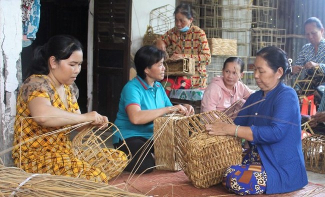 Cách chống xâm nhập mặn đáng nể của nông dân Việt Nam: Một loại cỏ dễ mọc, chi phí thấp, giúp thu đến 100 triệu/năm - Ảnh 2.