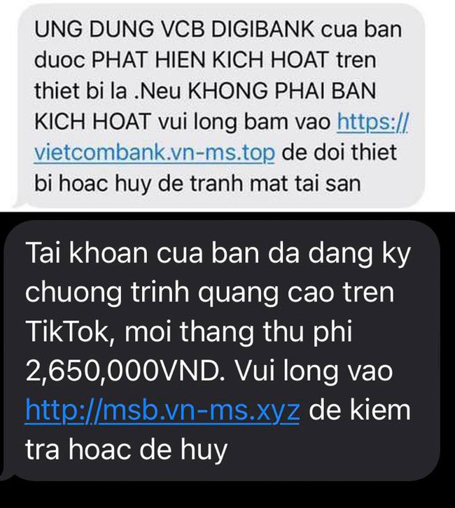 Chiêu trò lừa đảo này đã nhiều lần được cảnh báo nhưng vẫn khiến nhiều người sa bẫy, để lại hậu quả nghiêm trọng - Ảnh 1.