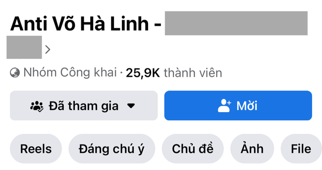 Xuất hiện nhóm antifan Võ Hà Linh, chưa đầy 1 ngày đã có 26 nghìn thành viên - Ảnh 1.