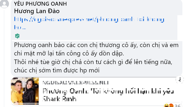 Vợ cũ Shark Bình phản ứng khi dân mạng nhắc tên Phương Oanh - Ảnh 3.