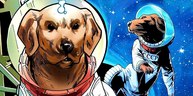 Giải mã thân phận của chú chó đáng yêu chiếm trọn spotlight trong Guardians of the Galaxy 3 - Ảnh 1.