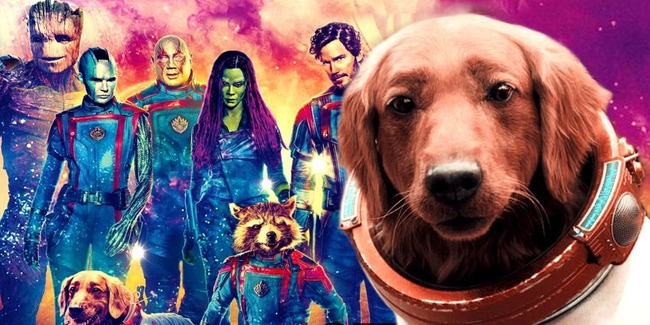 Giải mã thân phận của chú chó đáng yêu chiếm trọn spotlight trong Guardians of the Galaxy 3 - Ảnh 5.