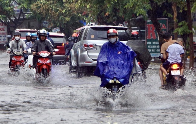 TP. Hồ Chí Minh: Mưa to gây ngập, giông lốc làm đổ nhiều cây  - Ảnh 2.