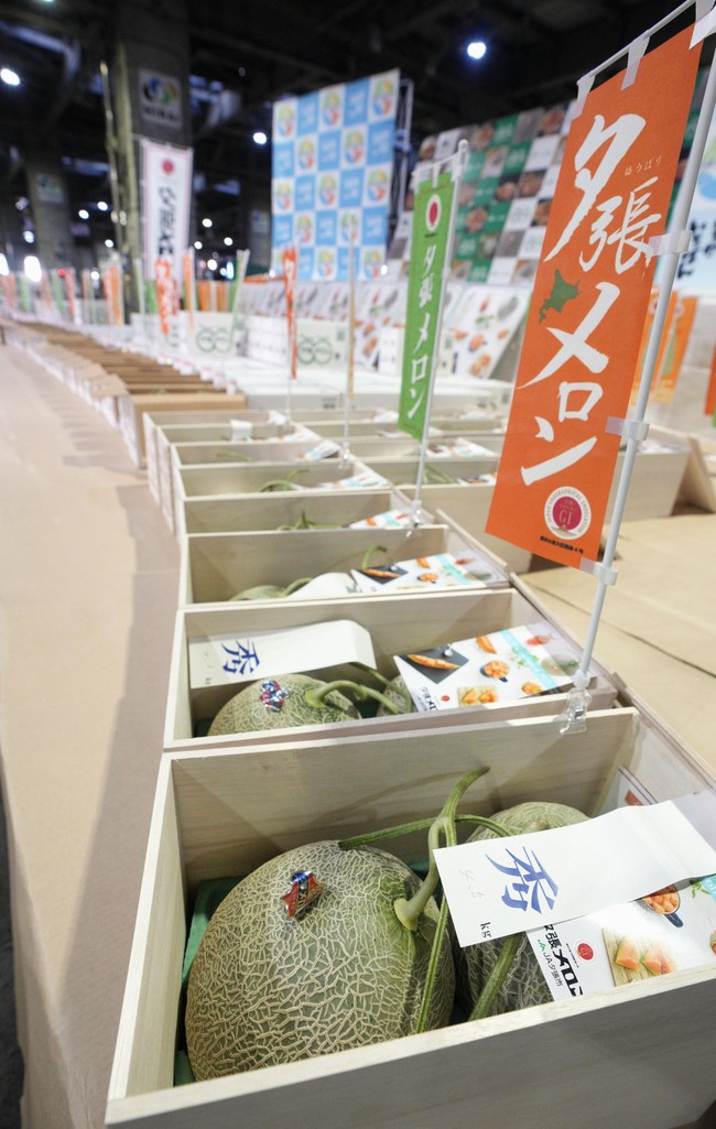 Nhật Bản: Dưa lưới Hokkaido được đấu giá hơn 25.000 USD - Ảnh 2.