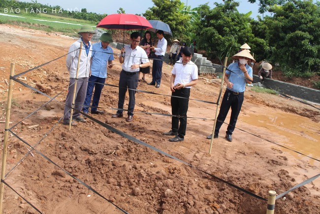 Hà Nội: Đề xuất khai quật khẩn cấp mộ gạch mới phát hiện tại huyện Đan Phượng - Ảnh 1.