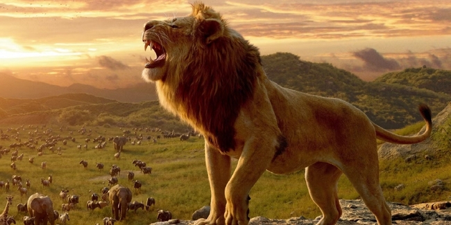 Disney muốn biến 'Vua sư tử' thành phim nhiều phần - Ảnh 1.