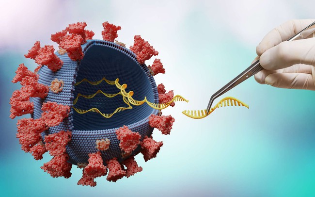 Mỹ phát triển màn hình phát hiện virus SARS-CoV-2 trong vòng vài phút - Ảnh 1.
