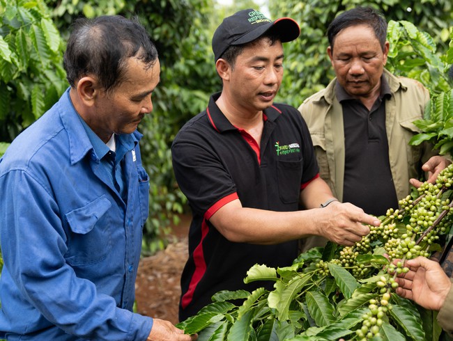 Nestlé nỗ lực giảm phát thải trong toàn chuỗi giá trị - Ảnh 2.