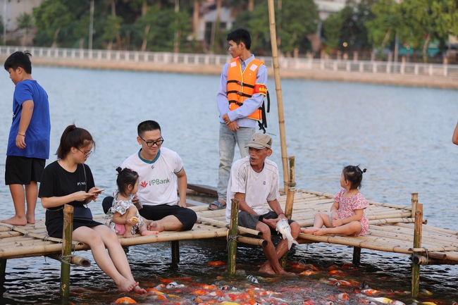 Ngắm hồ cá Koi khi chiều buông - Ảnh 12.