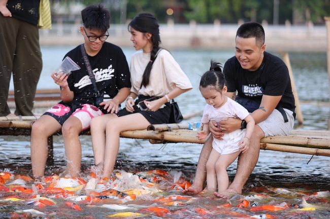 Ngắm hồ cá Koi khi chiều buông - Ảnh 10.