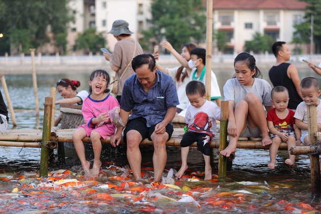 Ngắm hồ cá Koi khi chiều buông - Ảnh 2.