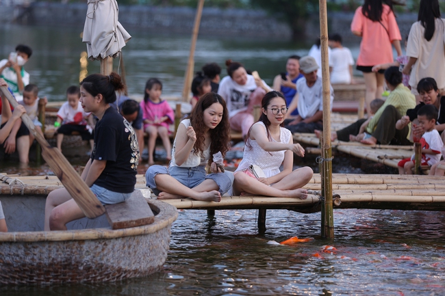 Ngắm hồ cá Koi khi chiều buông - Ảnh 9.