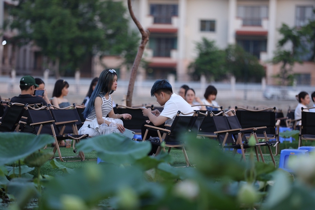 Ngắm hồ cá Koi khi chiều buông - Ảnh 4.