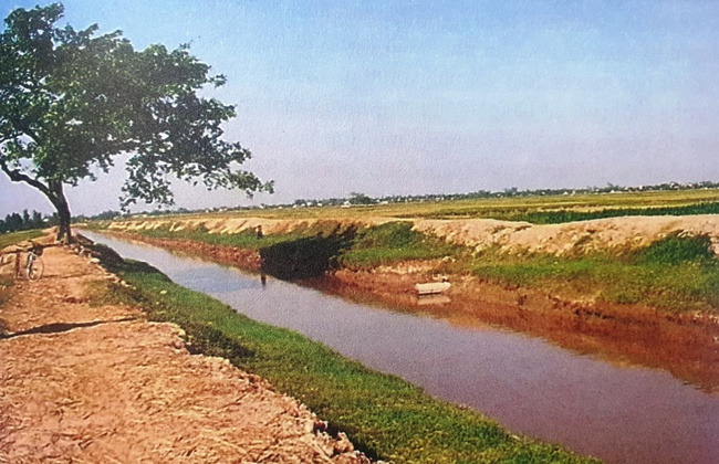 Đêm đêm rì rầm trong tiếng đất - Thế giới người lớn Đông Sơn (kỳ 1): Chiếc quan tài làm từ nửa con thuyền độc mộc - Ảnh 2.