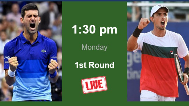 Link xem trực tiếp Djokovic vs Pedro Cachin, Wimbledon 2023 vòng 1 - Ảnh 4.