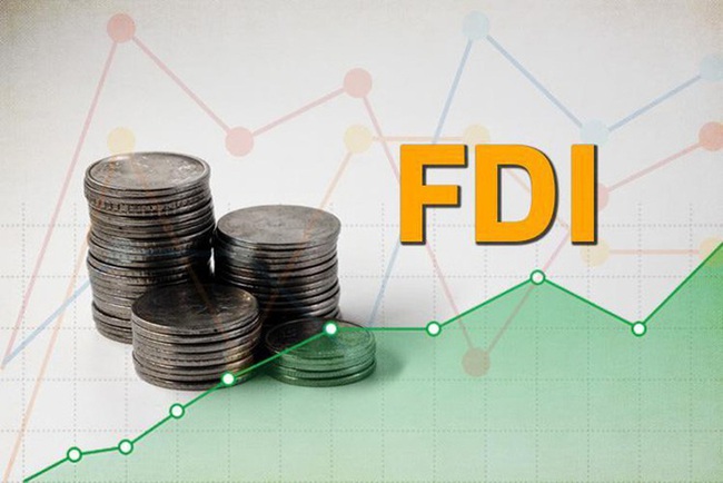 Kỳ vọng dòng vốn FDI tích cực 'đổ' vào Việt Nam  - Ảnh 1.