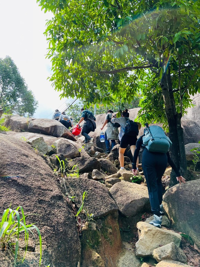 Loạt điểm trekking cực chill gần Sài Gòn, người mới cũng có thể tham khảo - Ảnh 12.