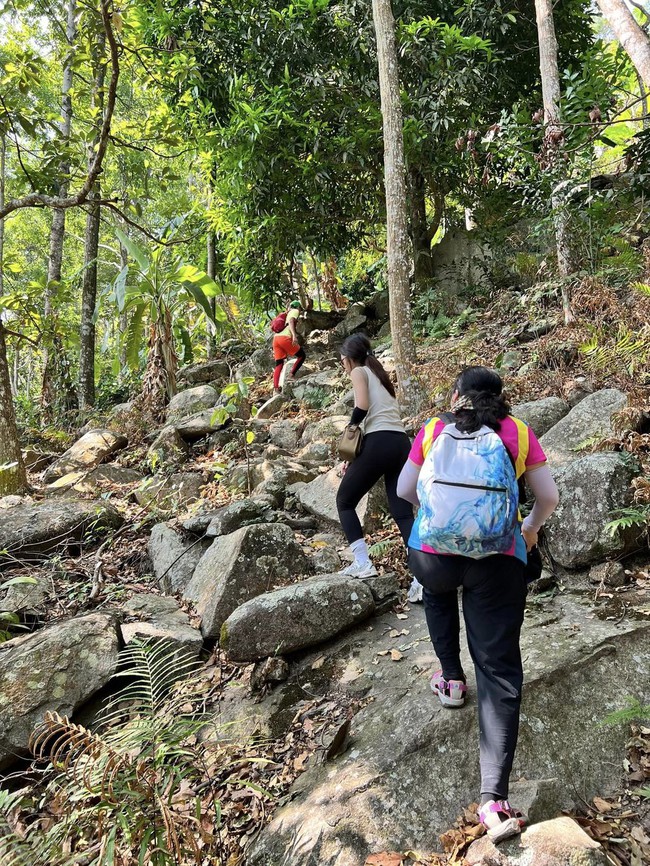 Loạt điểm trekking cực chill gần Sài Gòn, người mới cũng có thể tham khảo - Ảnh 3.