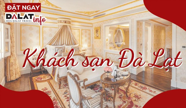 Top 3 khách sạn Đà Lạt đẹp đầy đủ tiện nghi tại Dalat-Info Việt Nam - Ảnh 2.