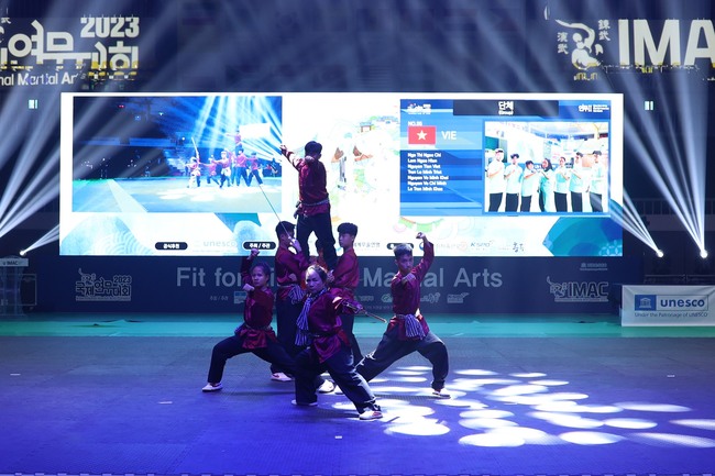 Việt Nam đoạt 2 huy chương cuộc thi Võ thuật quốc tế tại Hàn Quốc - Ảnh 3.