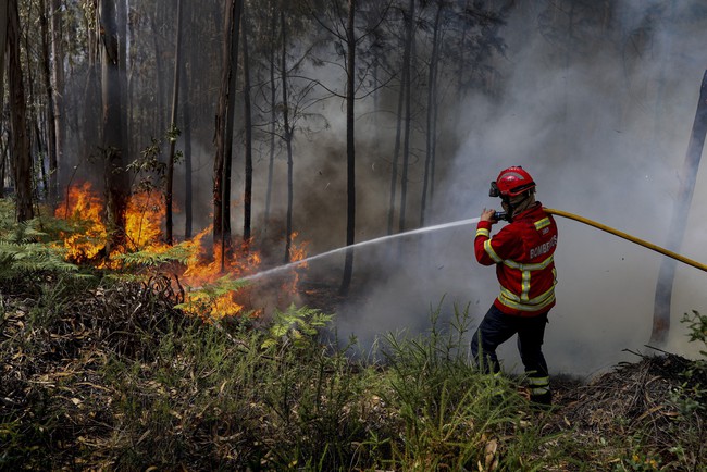 Nhiều địa phương ở Bồ Đào Nha trong tình trạng báo động đỏ về nắng nóng và cháy rừng - Canada trải qua mùa cháy rừng kỷ lục - Ảnh 1.