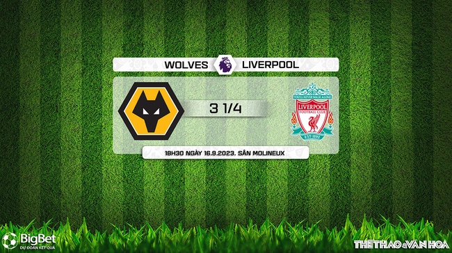 Nhận định bóng đá Wolves vs Liverpool (18h30, 16/9), Ngoại hạng Anh vòng 5 - Ảnh 9.