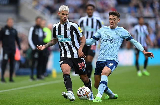 Nhận định bóng đá Newcastle vs Brentford (23h30, 16/9), vòng 5 Ngoại hạng Anh - Ảnh 2.