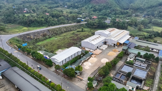 Công ty Kim An An - Tiên phong trong việc cung cấp đá thạch anh tự nhiên tại Việt Nam - Ảnh 1.