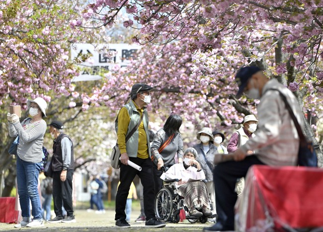 Dân số già hóa - bài toán khó của kinh tế Nhật Bản - Ảnh 2.