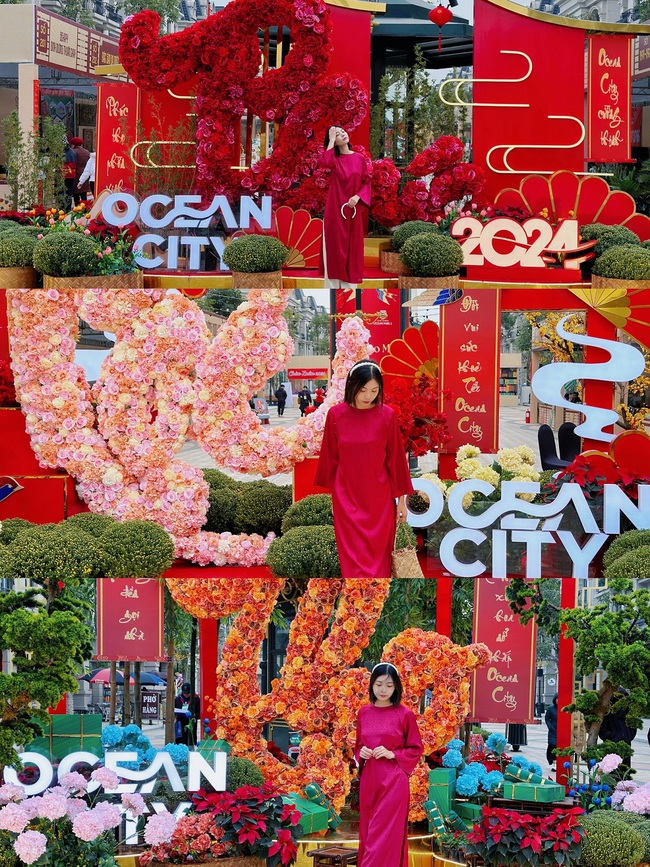 Hội chợ Xuân 2024 - &quot;Chợ Tết Phố Hội&quot; tại Ocean City xác lập kỷ lục Việt Nam - Ảnh 4.