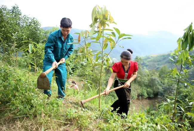 Kinh tế thích ứng với biến đổi khí hậu - Bài 2: Lá chắn bảo vệ trước thiên tai - Ảnh 2.