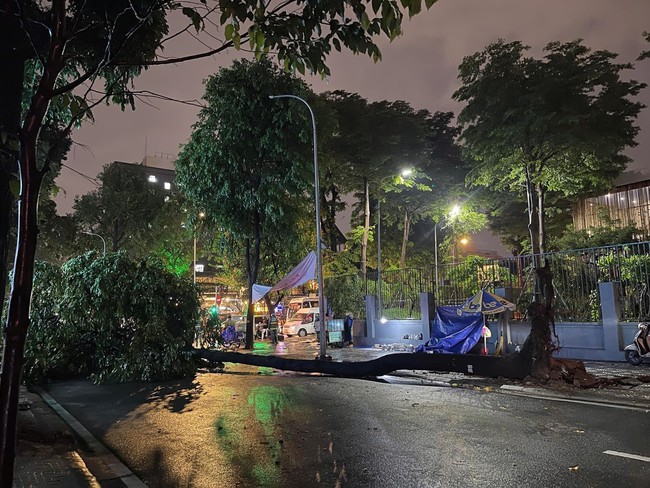 Thành phố Hồ Chí Minh: Cây xanh ngã đổ trong mưa đè trúng 4 người - Ảnh 1.