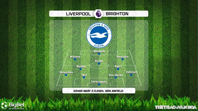 Nhận định, soi tỷ lệ Liverpool vs Brighton (22h00, 2/11), vòng 10 Giải Ngoại hạng Anh - Ảnh 4.