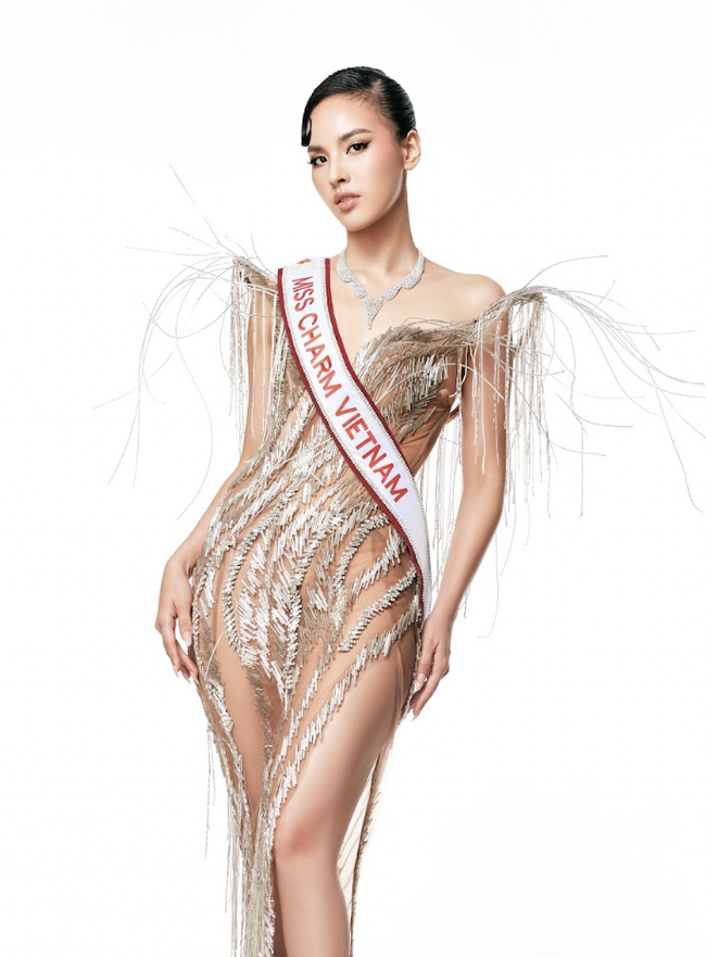 Profile của đại diện Việt tham gia Miss Charm 2024 - Ảnh 3.