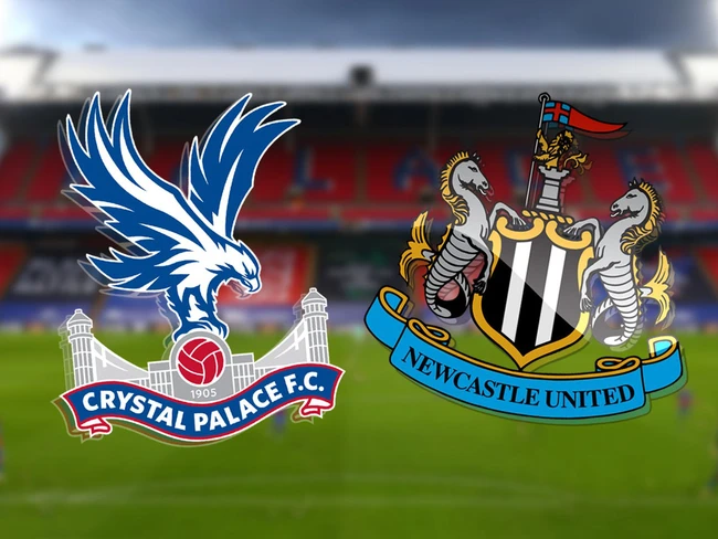 Nhận định, soi tỷ lệ Crystal Palace vs Newcastle 22h00, ngày 30/11, vòng 13 Ngoại hạng Anh - Ảnh 1.