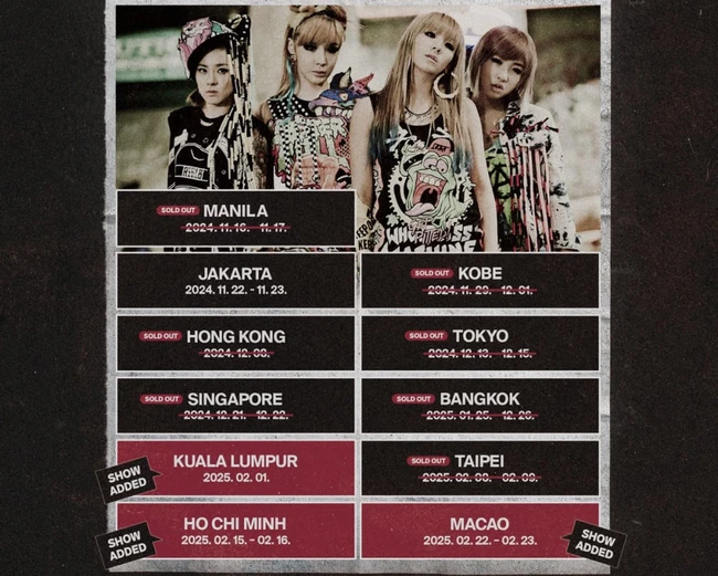 2NE1 tổ chức 2 đêm concert tại Việt Nam - Ảnh 1.