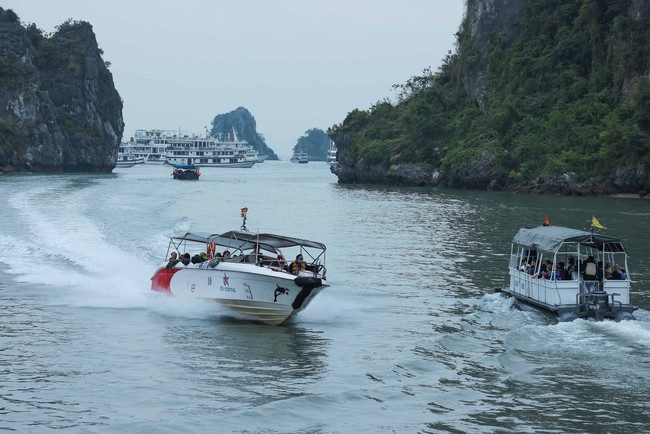 30 năm Di sản thiên nhiên thế giới vịnh Hạ Long: Vẻ đẹp bất tử và những cơ hội mới - Ảnh 1.