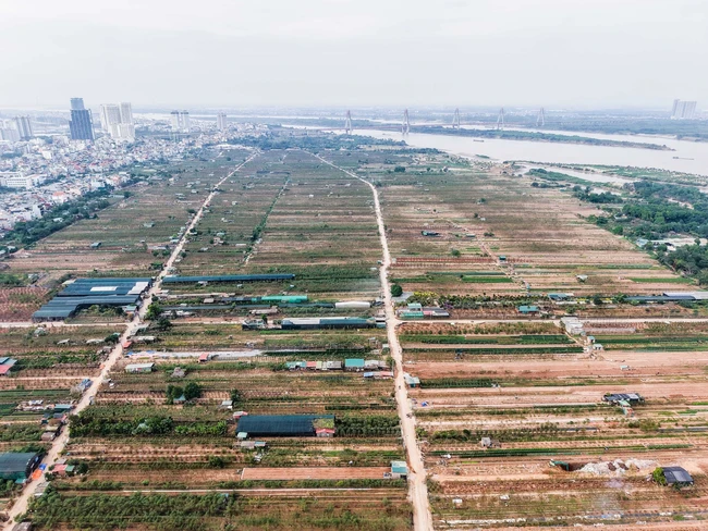 Người dân làng đào Nhật Tân tất bật chăm sóc đào cho dịp Tết nguyên đán Ất Tỵ - Ảnh 8.