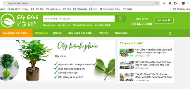 Cây cảnh Hà Nội thông báo đổi tên miền website chính thức - Ảnh 1.